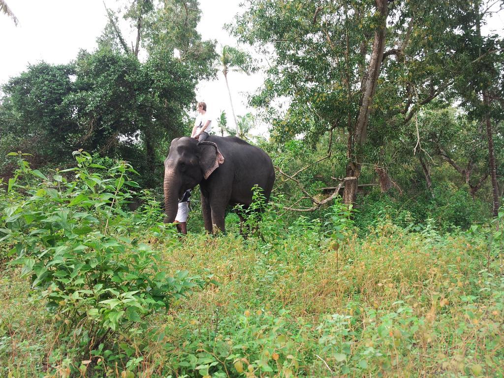 Marari Dreamz Villa Alappuzha Cameră foto